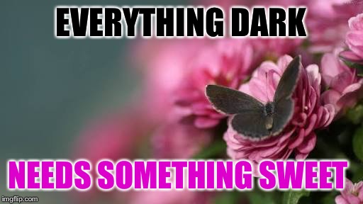 EVERYTHING DARK; NEEDS SOMETHING SWEET | image tagged in dark and sweet | made w/ Imgflip meme maker