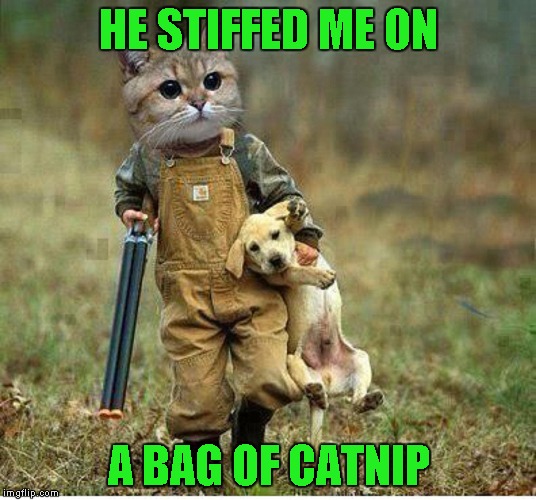 HE STIFFED ME ON A BAG OF CATNIP | made w/ Imgflip meme maker