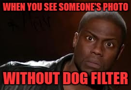 Kevin Hart Meme | WHEN YOU SEE SOMEONE'S PHOTO; WITHOUT DOG FILTER | image tagged in memes,kevin hart the hell | made w/ Imgflip meme maker