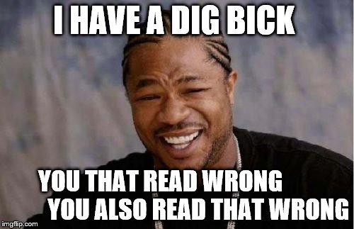 Yo Dawg Heard You Meme | I HAVE A DIG BICK; YOU THAT READ WRONG
               YOU ALSO READ THAT WRONG | image tagged in memes,yo dawg heard you | made w/ Imgflip meme maker