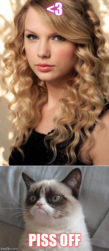 Grumpy Cat on Taylor Swift as NYC's  Global Welcome Ambassador | <3; PISS OFF | image tagged in grumpy cat on taylor swift as nyc's  global welcome ambassador | made w/ Imgflip meme maker