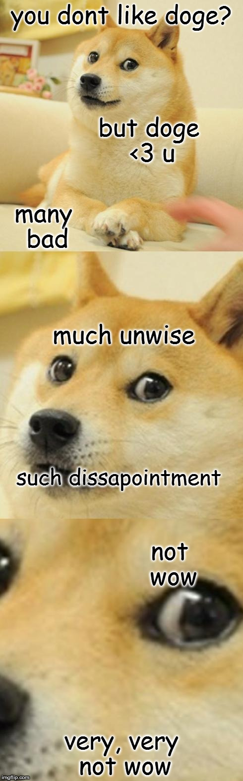 Doge Game | you dont like doge? but doge <3 u; many bad; much unwise; such dissapointment; not wow; very, very not wow | image tagged in doge game | made w/ Imgflip meme maker