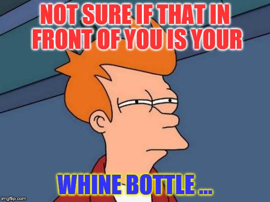 Futurama Fry Meme | NOT SURE IF THAT IN FRONT OF YOU IS YOUR WHINE BOTTLE ... | image tagged in memes,futurama fry | made w/ Imgflip meme maker
