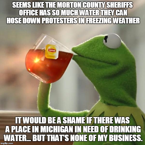 But That's None Of My Business Meme | SEEMS LIKE THE MORTON COUNTY SHERIFFS OFFICE HAS SO MUCH WATER THEY CAN HOSE DOWN PROTESTERS IN FREEZING WEATHER; IT WOULD BE A SHAME IF THERE WAS A PLACE IN MICHIGAN IN NEED OF DRINKING WATER... BUT THAT'S NONE OF MY BUSINESS. | image tagged in memes,but thats none of my business,kermit the frog | made w/ Imgflip meme maker