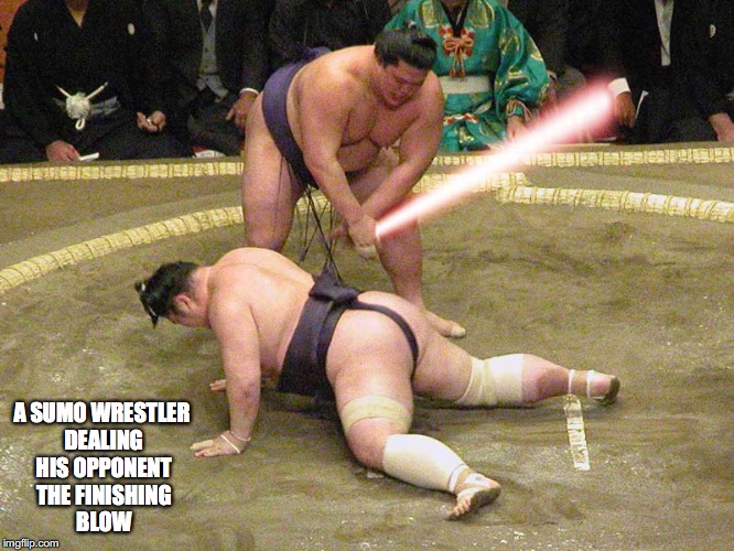 Sumo Wrestling | A SUMO WRESTLER DEALING HIS OPPONENT THE FINISHING BLOW | image tagged in sumo,memes | made w/ Imgflip meme maker