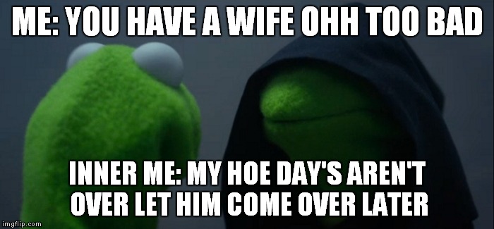 Evil Kermit Meme | ME: YOU HAVE A WIFE OHH TOO BAD; INNER ME: MY HOE DAY'S AREN'T OVER LET HIM COME OVER LATER | image tagged in evil kermit | made w/ Imgflip meme maker