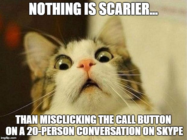 Lock the Doors To Your House | NOTHING IS SCARIER... THAN MISCLICKING THE CALL BUTTON ON A 20-PERSON CONVERSATION ON SKYPE | image tagged in memes,scared cat,funny,skype | made w/ Imgflip meme maker