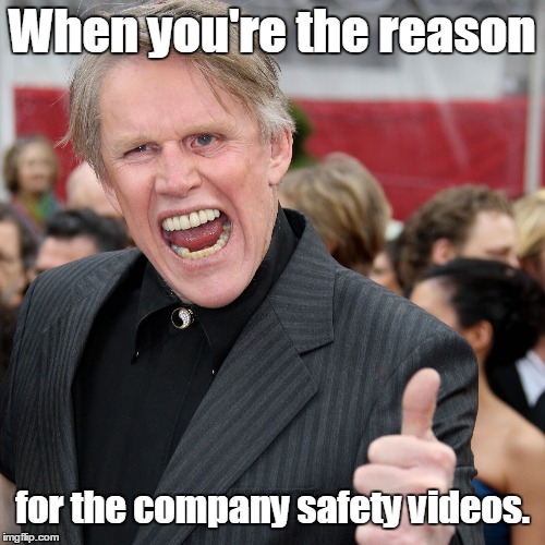Gary Busey | When you're the reason; for the company safety videos. | image tagged in gary busey | made w/ Imgflip meme maker