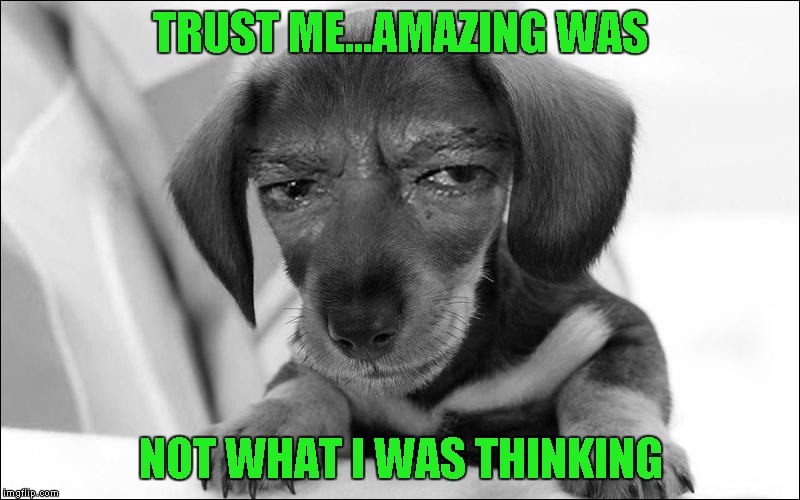 TRUST ME...AMAZING WAS NOT WHAT I WAS THINKING | made w/ Imgflip meme maker