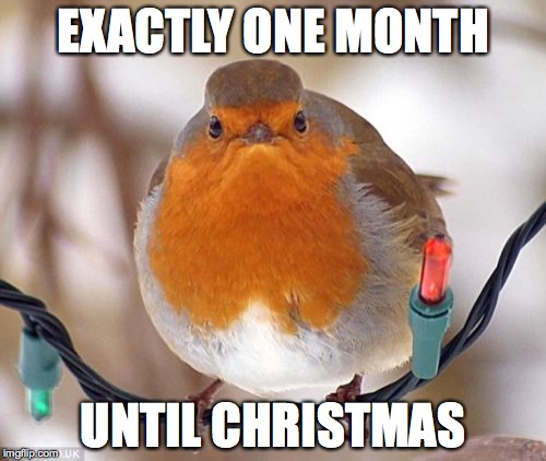 Bah Humbug Meme | EXACTLY ONE MONTH; UNTIL CHRISTMAS | image tagged in memes,bah humbug | made w/ Imgflip meme maker