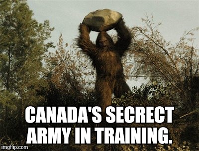 Canada is training a secrect army to repel invaders from the south | CANADA'S SECRECT ARMY IN TRAINING. | image tagged in bigfoot,memes,funny,canada | made w/ Imgflip meme maker