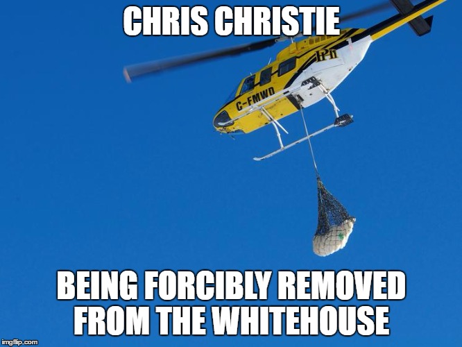 polar bear airlift | CHRIS CHRISTIE; BEING FORCIBLY REMOVED FROM THE WHITEHOUSE | image tagged in polar bear airlift | made w/ Imgflip meme maker