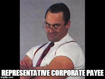 REPRESENTATIVE CORPORATE PAYEE | image tagged in anita dick representative corporate payee | made w/ Imgflip meme maker