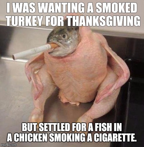 My dinner | I WAS WANTING A SMOKED TURKEY FOR THANKSGIVING; BUT SETTLED FOR A FISH IN A CHICKEN SMOKING A CIGARETTE. | image tagged in happy thanksgiving | made w/ Imgflip meme maker