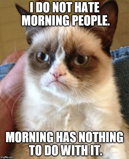Grumpy Cat | I DO NOT HATE MORNING PEOPLE. MORNING HAS NOTHING TO DO WITH IT. | image tagged in memes,grumpy cat | made w/ Imgflip meme maker