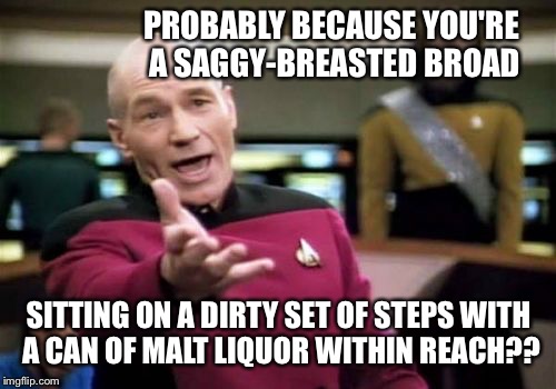 Picard Wtf Meme | PROBABLY BECAUSE YOU'RE A SAGGY-BREASTED BROAD SITTING ON A DIRTY SET OF STEPS WITH A CAN OF MALT LIQUOR WITHIN REACH?? | image tagged in memes,picard wtf | made w/ Imgflip meme maker