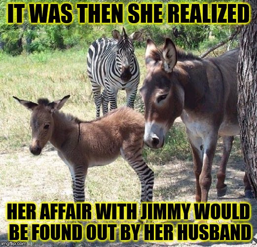 She is such an ass | IT WAS THEN SHE REALIZED; HER AFFAIR WITH JIMMY WOULD BE FOUND OUT BY HER HUSBAND | image tagged in memes,funny,original meme,animals | made w/ Imgflip meme maker