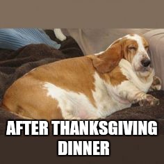 AFTER THANKSGIVING DINNER | image tagged in thanksgiving | made w/ Imgflip meme maker