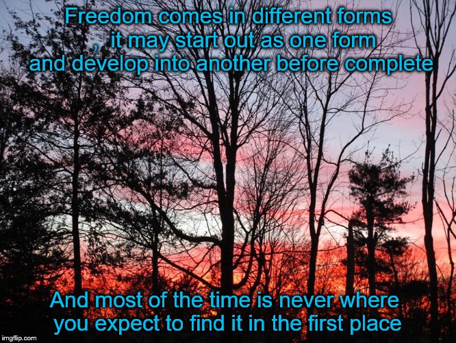 Finding Freedom | Freedom comes in different forms  ,  it may start out as one form and develop into another before complete; And most of the time is never where you expect to find it in the first place | image tagged in true freedom | made w/ Imgflip meme maker