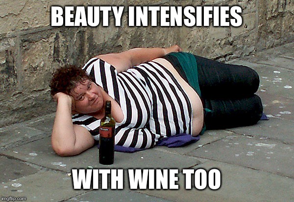 BEAUTY INTENSIFIES WITH WINE TOO | made w/ Imgflip meme maker