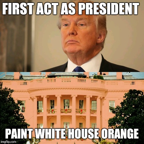 Orange House | FIRST ACT AS PRESIDENT; PAINT WHITE HOUSE ORANGE | image tagged in orange trump | made w/ Imgflip meme maker