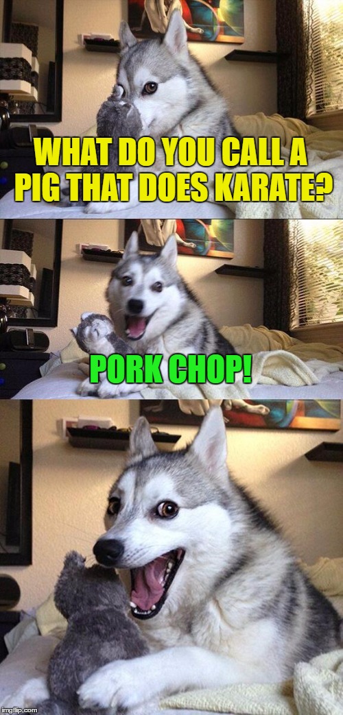 Karate Pig | WHAT DO YOU CALL A PIG THAT DOES KARATE? PORK CHOP! | image tagged in memes,bad pun dog,funny,funny memes,pig,karate | made w/ Imgflip meme maker