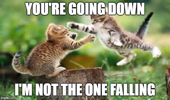 YOU'RE GOING DOWN; I'M NOT THE ONE FALLING | made w/ Imgflip meme maker