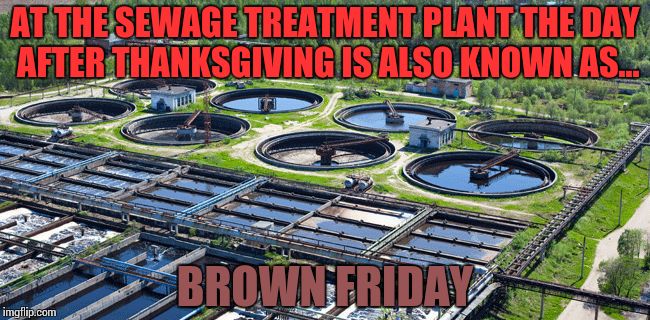 It's their busiest day of the year. | AT THE SEWAGE TREATMENT PLANT THE DAY AFTER THANKSGIVING IS ALSO KNOWN AS... BROWN FRIDAY | image tagged in brown friday,black friday,poop | made w/ Imgflip meme maker