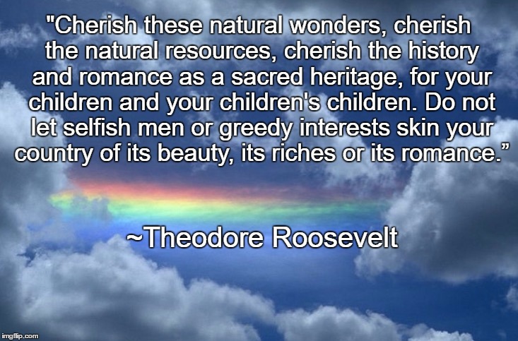 Preserve Nature | "Cherish these natural wonders, cherish the natural resources, cherish the history and romance as a sacred heritage, for your children and your children's children. Do not let selfish men or greedy interests skin your country of its beauty, its riches or its romance.”; ~Theodore Roosevelt | image tagged in dream prayer,teddy roosevelt,conservation,epa | made w/ Imgflip meme maker