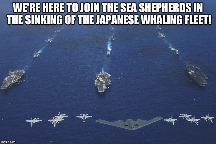 WE'RE HERE TO JOIN THE SEA SHEPHERDS IN THE SINKING OF THE JAPANESE WHALING FLEET! | image tagged in carrie group | made w/ Imgflip meme maker