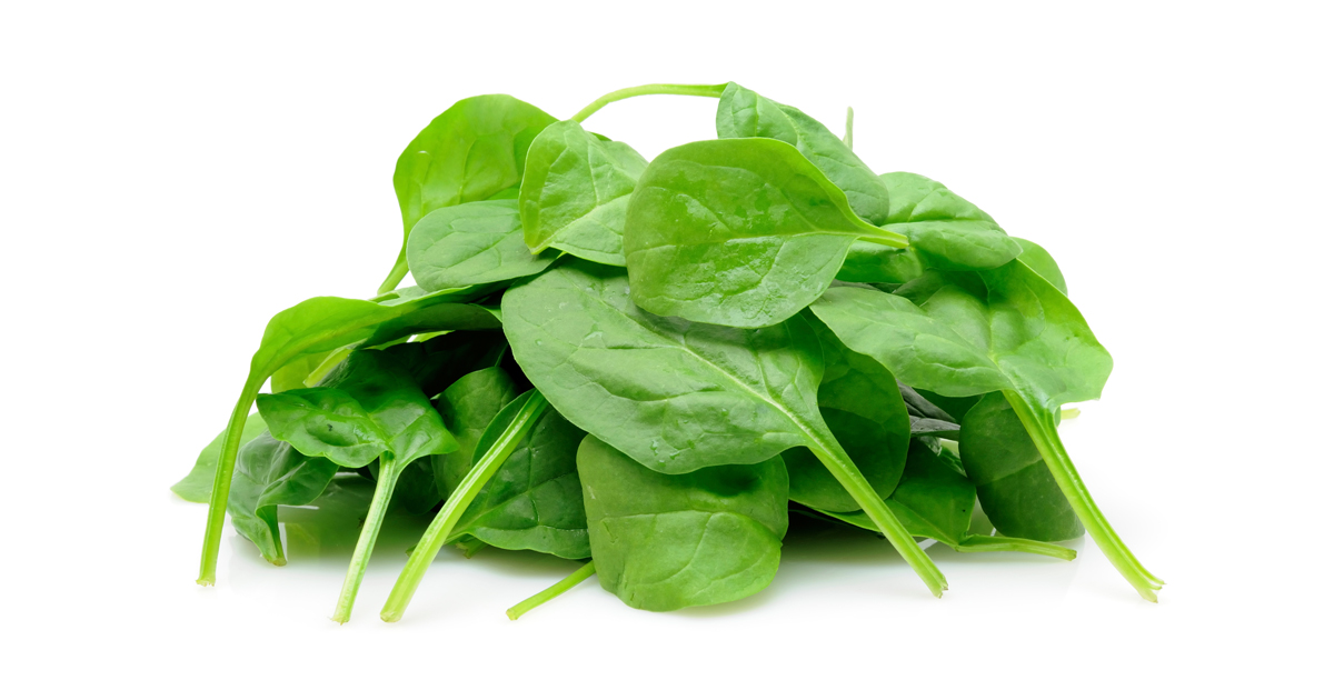 Spinach Blank Meme Template