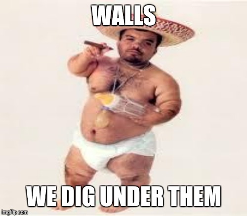 WALLS WE DIG UNDER THEM | made w/ Imgflip meme maker