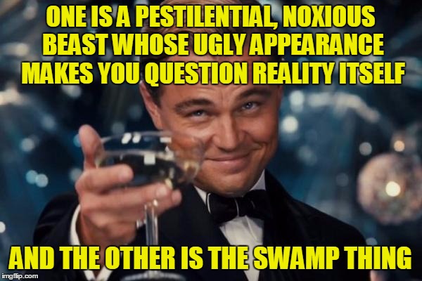 Leonardo Dicaprio Cheers Meme | ONE IS A PESTILENTIAL, NOXIOUS BEAST WHOSE UGLY APPEARANCE MAKES YOU QUESTION REALITY ITSELF AND THE OTHER IS THE SWAMP THING | image tagged in memes,leonardo dicaprio cheers | made w/ Imgflip meme maker