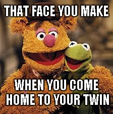 The Fozzie and Kermit Twins | THAT FACE YOU MAKE; WHEN YOU COME HOME TO YOUR TWIN | image tagged in fozzie bear,kermit the frog | made w/ Imgflip meme maker