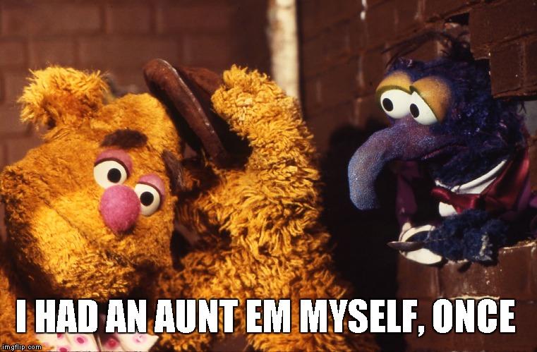 Remembering Em | I HAD AN AUNT EM MYSELF, ONCE | image tagged in emerald city,fozzie bear,gonzo | made w/ Imgflip meme maker