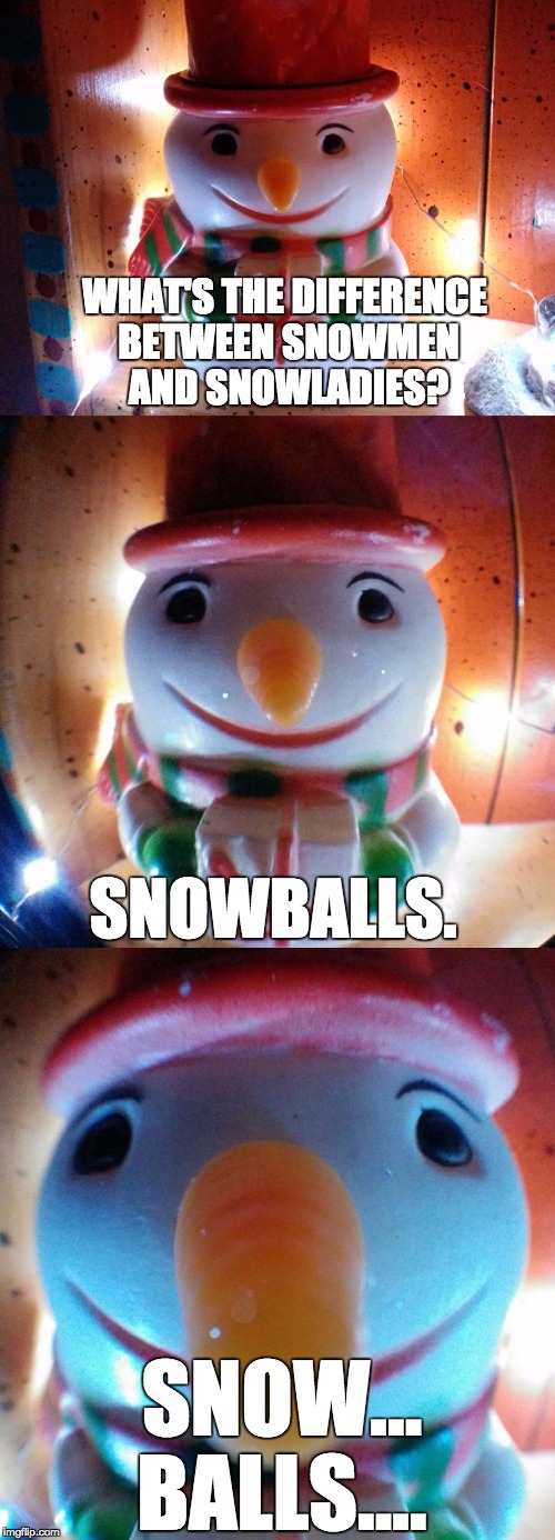 Snow people gender differences. | WHAT'S THE DIFFERENCE BETWEEN SNOWMEN AND SNOWLADIES? SNOWBALLS. SNOW... BALLS.... | image tagged in snow joke,letsgetwordy,snowmen,snowwomen,snowball | made w/ Imgflip meme maker