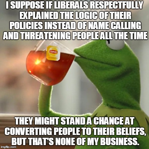 Always Be Kind | I SUPPOSE IF LIBERALS RESPECTFULLY EXPLAINED THE LOGIC OF THEIR POLICIES INSTEAD OF NAME CALLING AND THREATENING PEOPLE ALL THE TIME; THEY MIGHT STAND A CHANCE AT CONVERTING PEOPLE TO THEIR BELIEFS, BUT THAT'S NONE OF MY BUSINESS. | image tagged in memes,but thats none of my business,kermit the frog | made w/ Imgflip meme maker