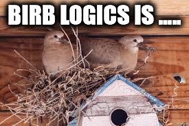 birb logic problem  | BIRB LOGICS IS ..... | image tagged in birds,derp,logic | made w/ Imgflip meme maker