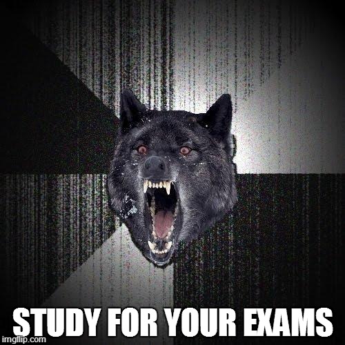 Insanity Wolf | STUDY FOR YOUR EXAMS | image tagged in memes,insanity wolf | made w/ Imgflip meme maker