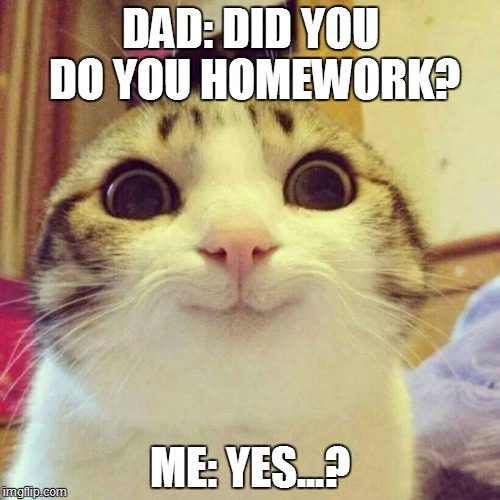 Smiling Cat Meme | DAD: DID YOU DO YOU HOMEWORK? ME: YES...? | image tagged in memes,smiling cat | made w/ Imgflip meme maker
