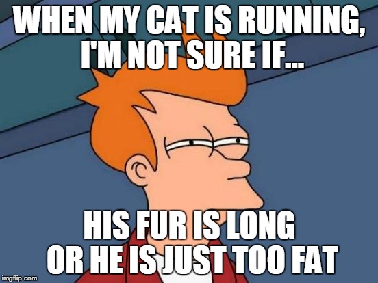 Futurama Fry | WHEN MY CAT IS RUNNING, I'M NOT SURE IF... HIS FUR IS LONG OR HE IS JUST TOO FAT | image tagged in memes,futurama fry | made w/ Imgflip meme maker