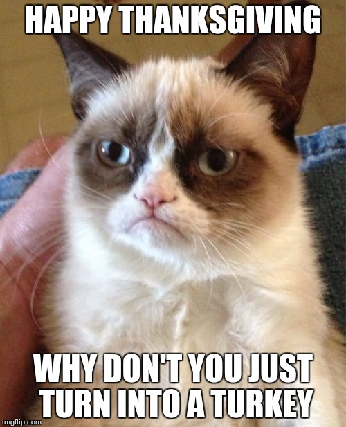 Grumpy Cat | HAPPY THANKSGIVING; WHY DON'T YOU JUST TURN INTO A TURKEY | image tagged in memes,grumpy cat | made w/ Imgflip meme maker