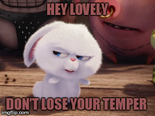Secret Life of Pets - Snowball #3 | HEY LOVELY; DON’T LOSE YOUR TEMPER | image tagged in secret life of pets - snowball 3 | made w/ Imgflip meme maker