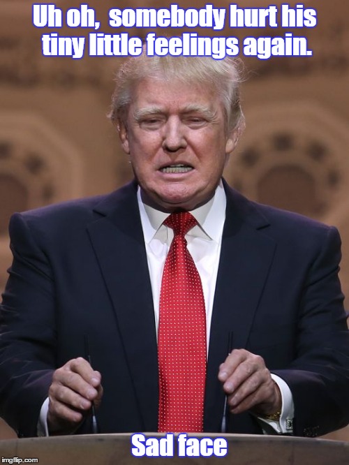 Donald Trump | Uh oh,  somebody hurt his tiny little feelings again. Sad face | image tagged in donald trump | made w/ Imgflip meme maker