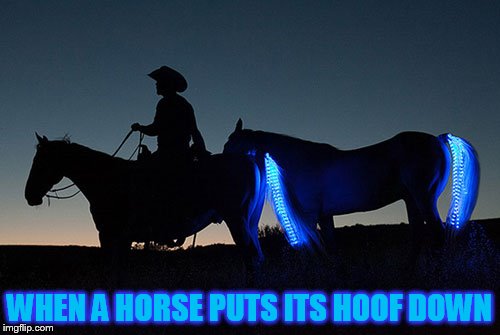 WHEN A HORSE PUTS ITS HOOF DOWN | made w/ Imgflip meme maker