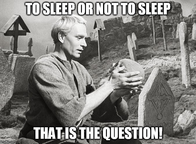Hamlet | TO SLEEP OR NOT TO SLEEP THAT IS THE QUESTION! | image tagged in hamlet | made w/ Imgflip meme maker