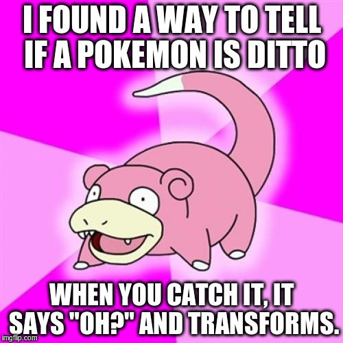 Slowpoke Meme | I FOUND A WAY TO TELL IF A POKEMON IS DITTO; WHEN YOU CATCH IT, IT SAYS "OH?" AND TRANSFORMS. | image tagged in memes,slowpoke | made w/ Imgflip meme maker