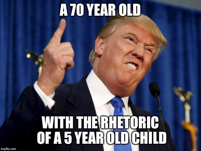 Trump Stupid | A 70 YEAR OLD; WITH THE RHETORIC OF A 5 YEAR OLD CHILD | image tagged in trump stupid | made w/ Imgflip meme maker