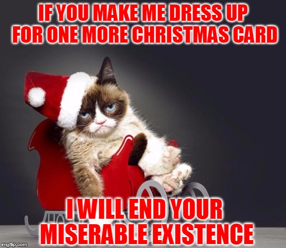 Bah Humbug | IF YOU MAKE ME DRESS UP FOR ONE MORE CHRISTMAS CARD; I WILL END YOUR MISERABLE EXISTENCE | image tagged in grumpy cat christmas hd,christmas card,i will end you,is grumpy hiding the clue | made w/ Imgflip meme maker