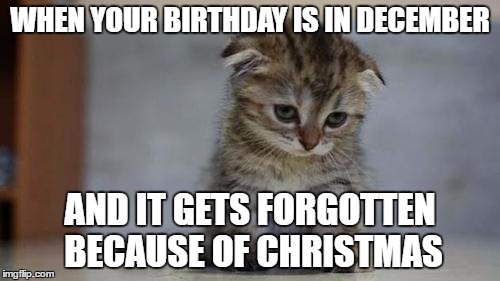 Some People Don't Even Get Presents for Their Birthday Because Parents Don't Wanna Give it to Them Twice | WHEN YOUR BIRTHDAY IS IN DECEMBER; AND IT GETS FORGOTTEN BECAUSE OF CHRISTMAS | image tagged in sad kitten,memes | made w/ Imgflip meme maker